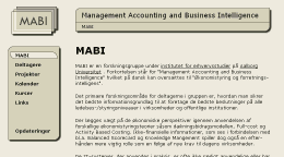 MABI - Management Accounting and Business Intelligence